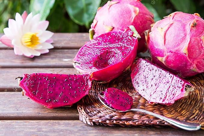 Red dragon fruit